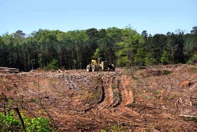 Slope Clearing in Katy, TX